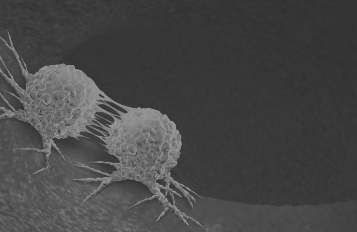 CTC single-cell analysis